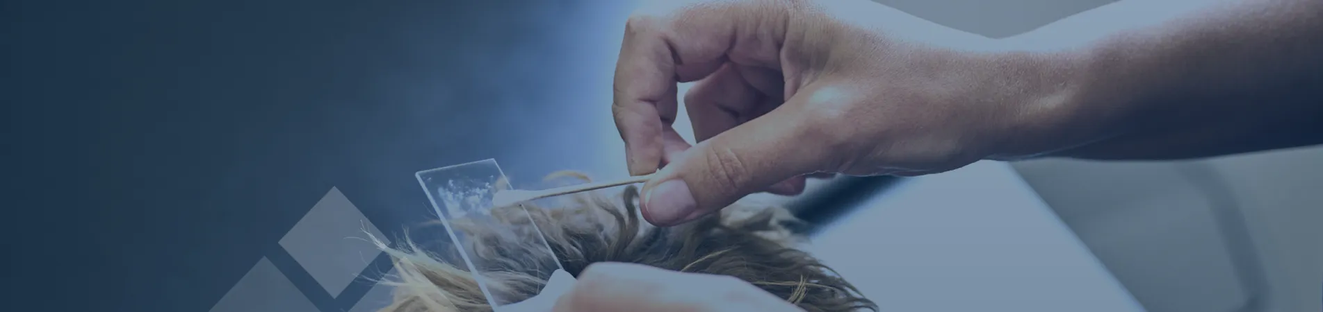 Veterinary Dermatology Services | Cave Vets